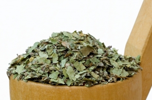 Pocení